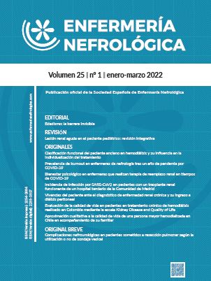 Revista Enfermería Nefrológica nº 25, Volumen 1